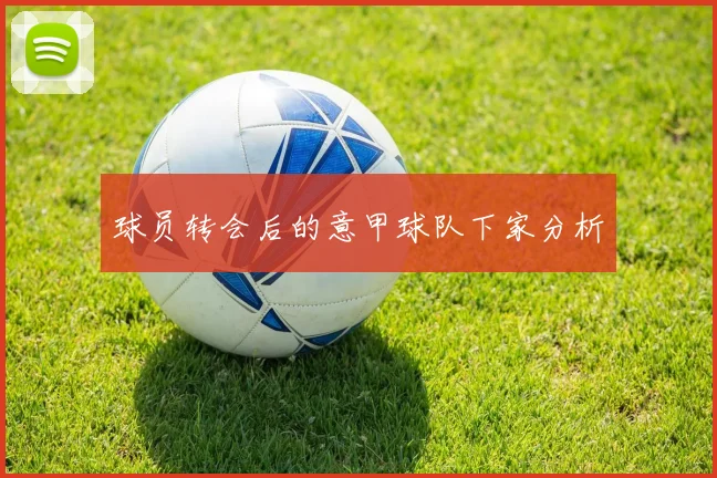 球员转会后的意甲球队下家分析